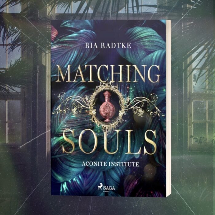Matching Souls Buchcover